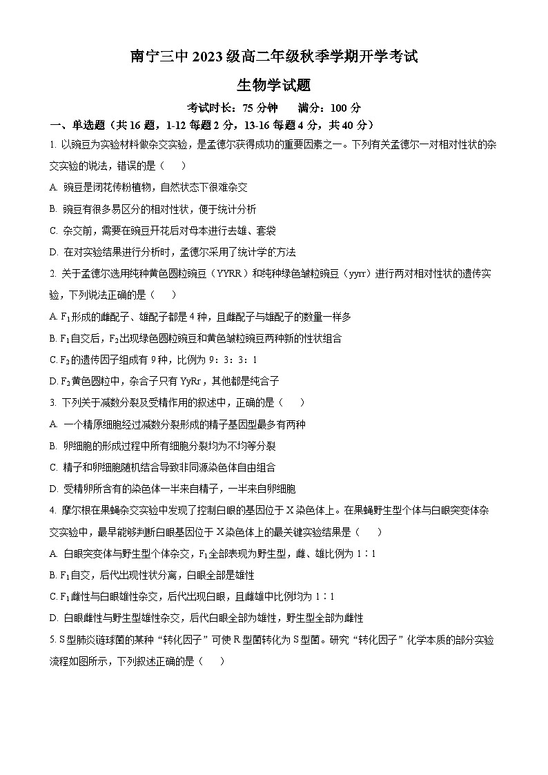 广西南宁市第三中学2024-2025学年高二上学期开学考试生物试卷（Word版附答案）第1页