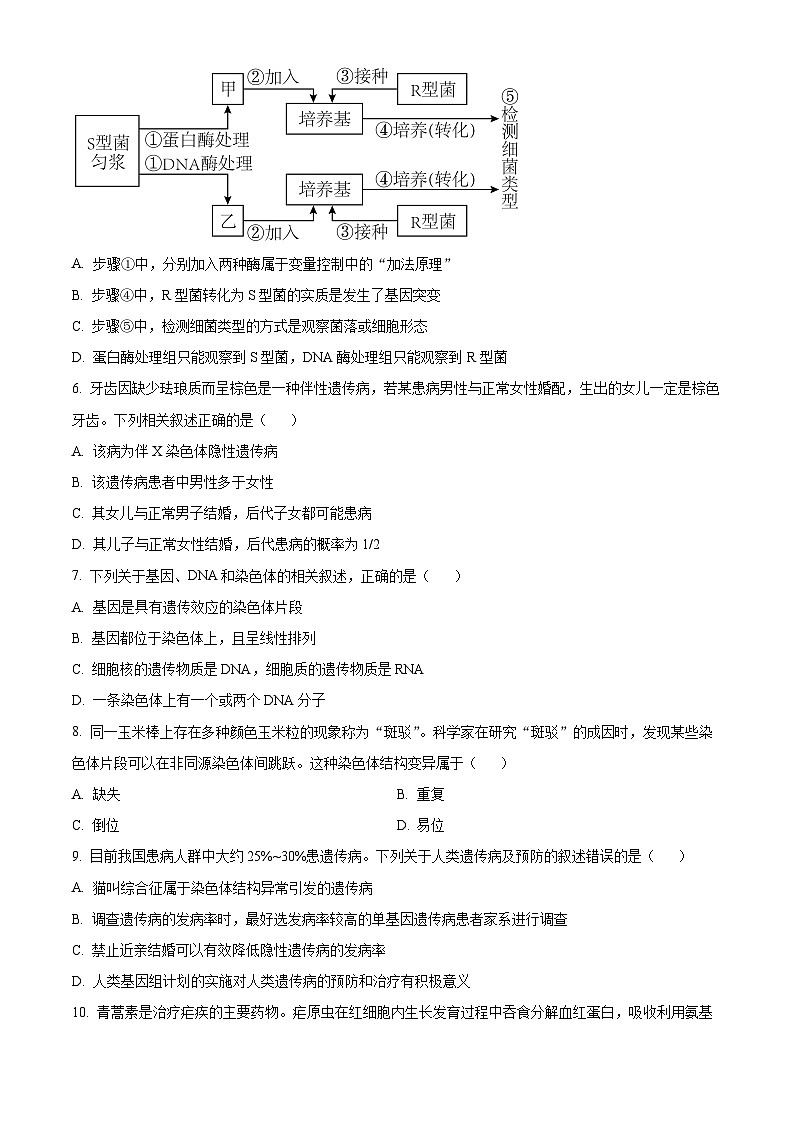 广西南宁市第三中学2024-2025学年高二上学期开学考试生物试卷（Word版附答案）第2页