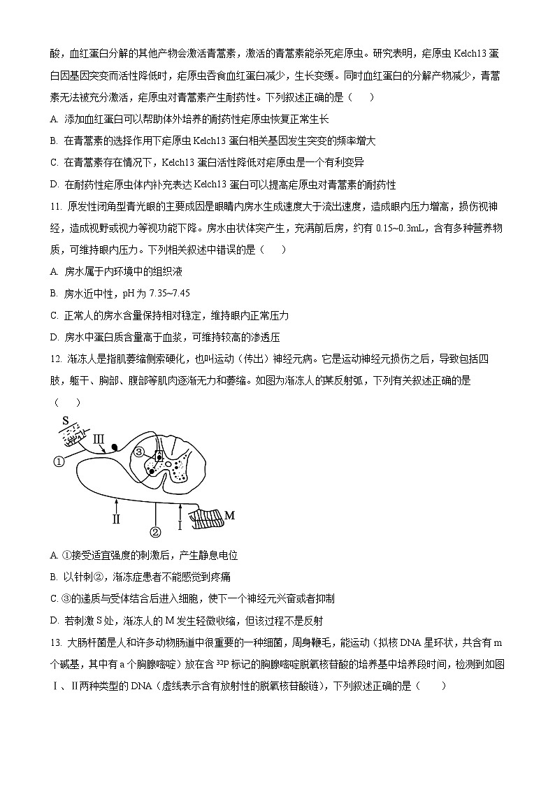 广西南宁市第三中学2024-2025学年高二上学期开学考试生物试卷（Word版附答案）第3页
