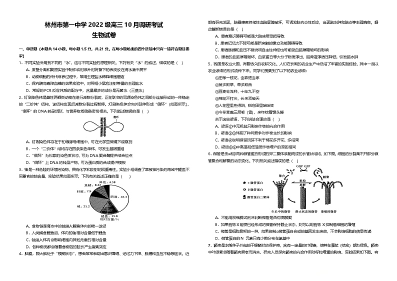 河南省安阳市林州市第一中学2024-2025学年高三上学期10月月考生物试卷（Word版附解析）第1页