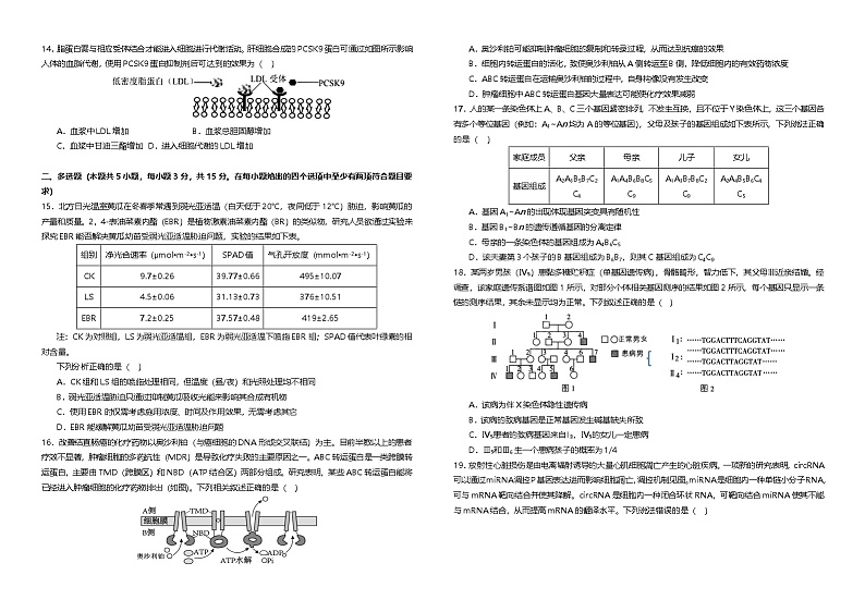 河南省安阳市林州市第一中学2024-2025学年高三上学期10月月考生物试卷（Word版附解析）第3页