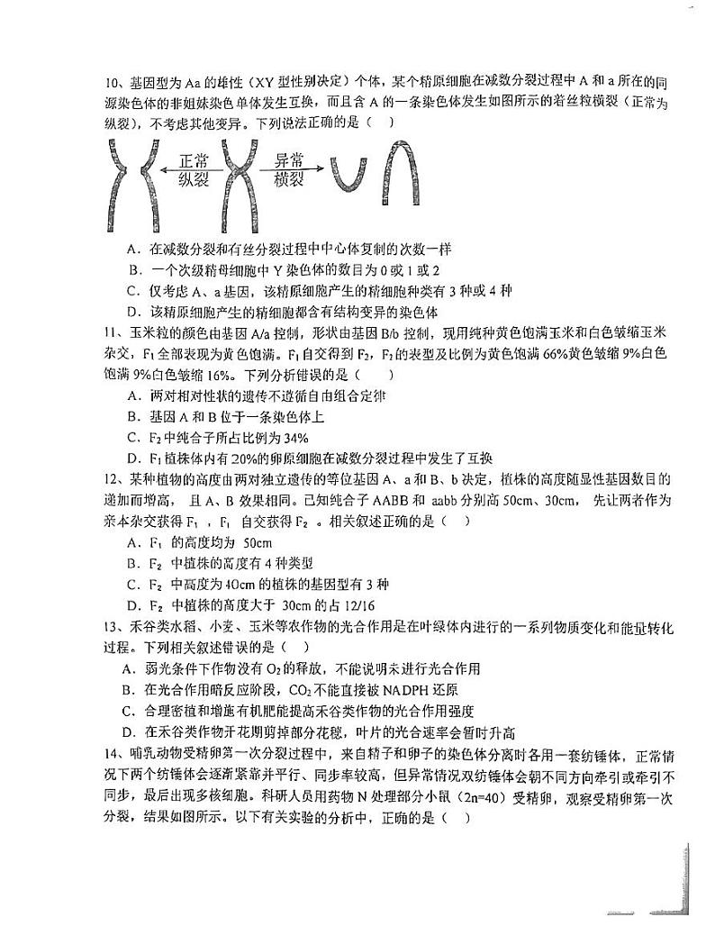 江苏省盐城市射阳中学2024-2025学年高三上学期10月月考生物试卷（PDF版附答案）第3页