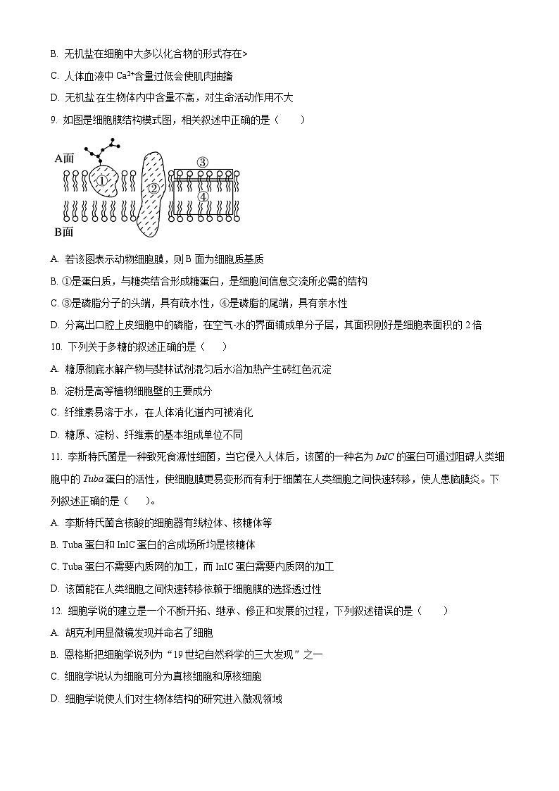 浙江省宁波中学2024-2025学年高一上学期10月阶段测试生物试卷（Word版附解析）02