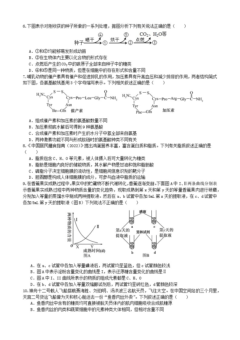 甘肃省兰州第一中学2024-2025学年高一上学期10月月考生物试卷（Word版附答案）第2页