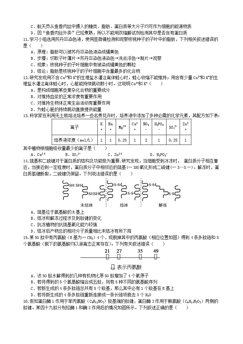 甘肃省兰州第一中学2024-2025学年高一上学期10月月考生物试卷（Word版附答案）第3页