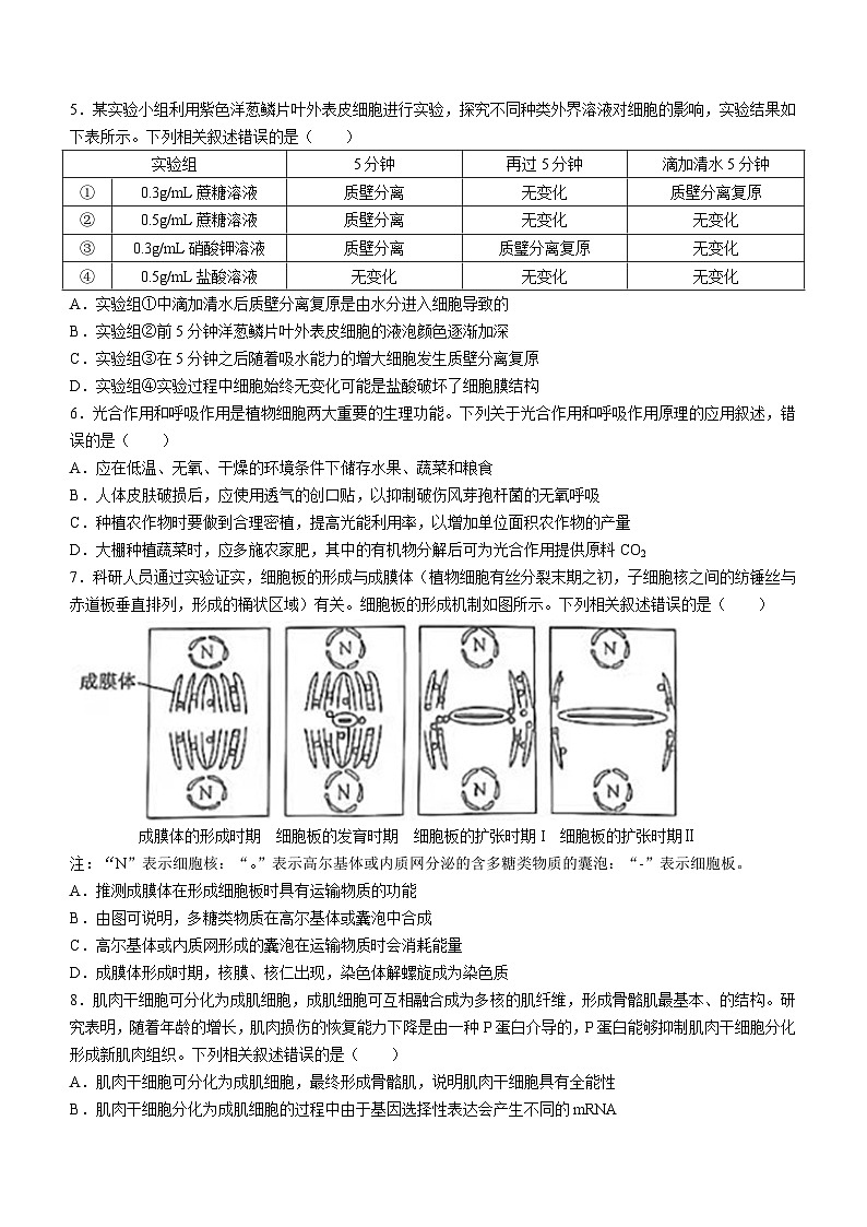 江西省鹰潭市余江区第一中学2024-2025学年高三上学期10月月考生物试卷（Word版附解析）第2页