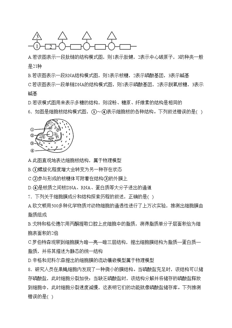 项城市第三高级中学2025届高三上学期第一次段考生物试卷(含答案)第2页