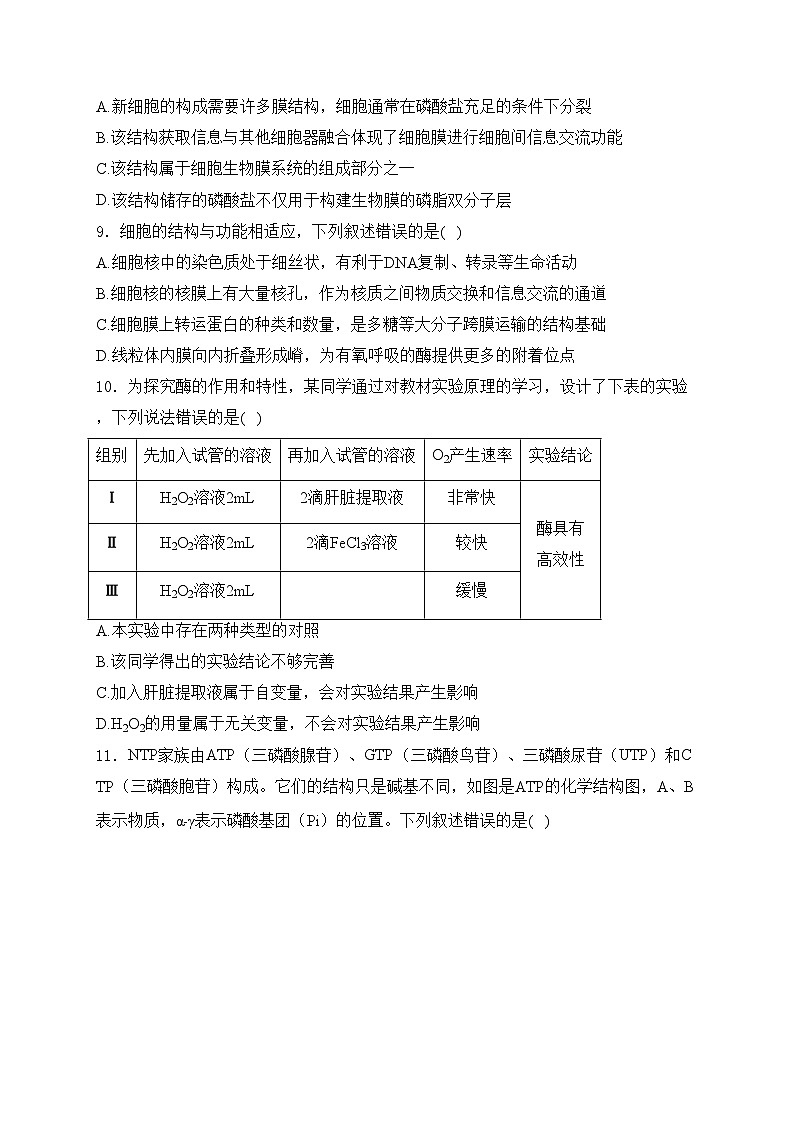项城市第三高级中学2025届高三上学期第一次段考生物试卷(含答案)第3页