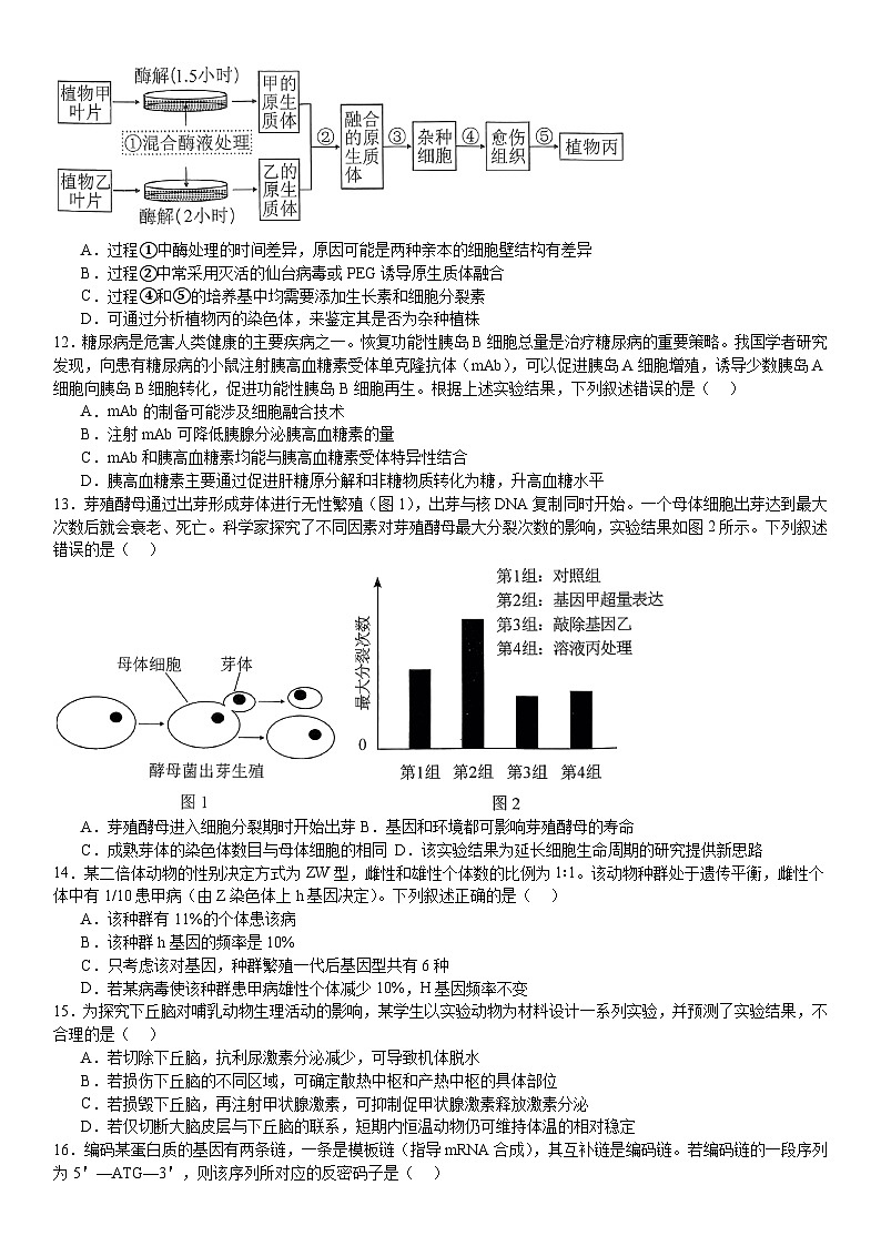 2024年湖北高考生物模拟试卷附答案第3页