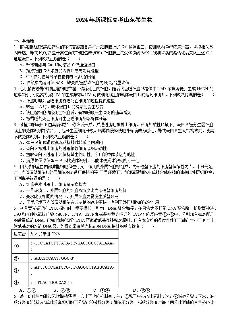 山东2024年高考生物模拟试卷附答案第1页