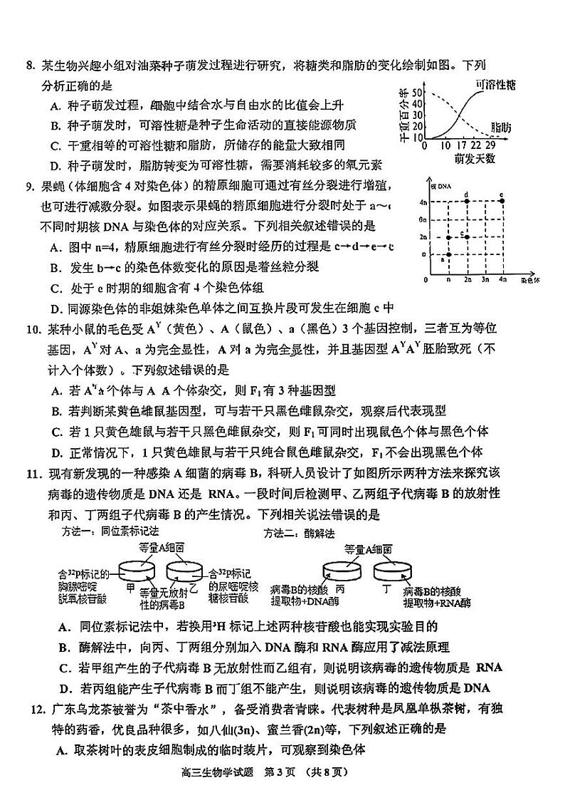 2025届吉林省普通高中高三上学期高考一模考试生物学试题+答案第3页