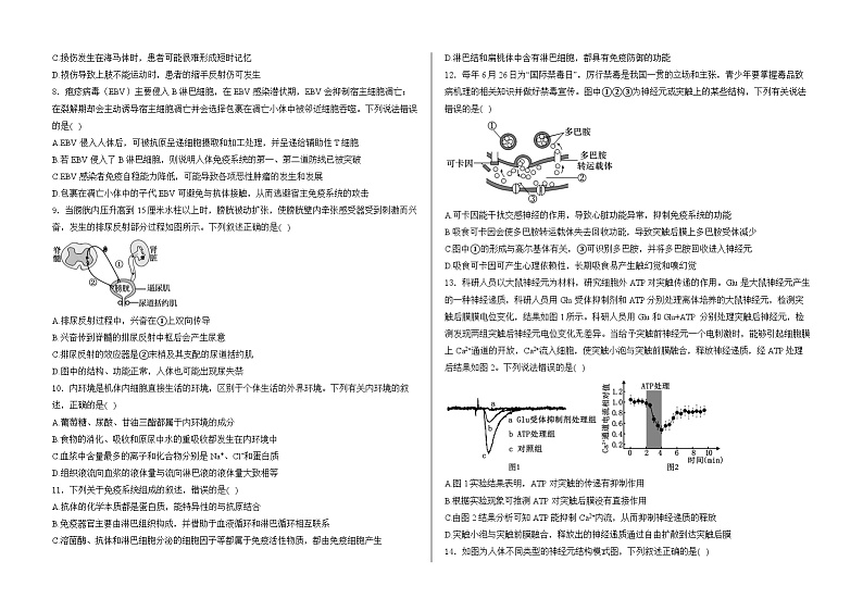 山东省泰安市新泰市紫光实验中学2024-2025学年高三上学期开学考试生物试题第2页