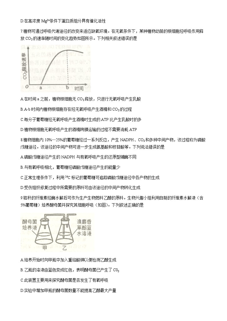 河北省邯郸市武安市第一中学2024-2025学年高三上学期10月期中生物试题(无答案)第3页