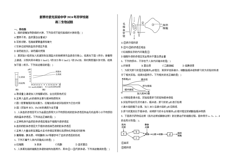 山东省泰安市新泰市新泰市紫光实验中学2024-2025学年高二上学期开学考试生物试题第1页
