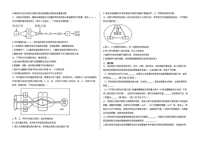 山东省泰安市新泰市新泰市紫光实验中学2024-2025学年高二上学期开学考试生物试题第3页