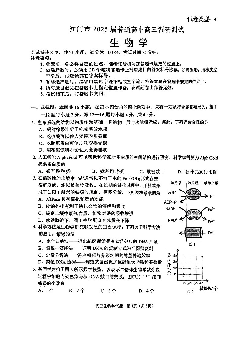 2025届江门市高三上学期10月调研测试生物试卷+答案第1页