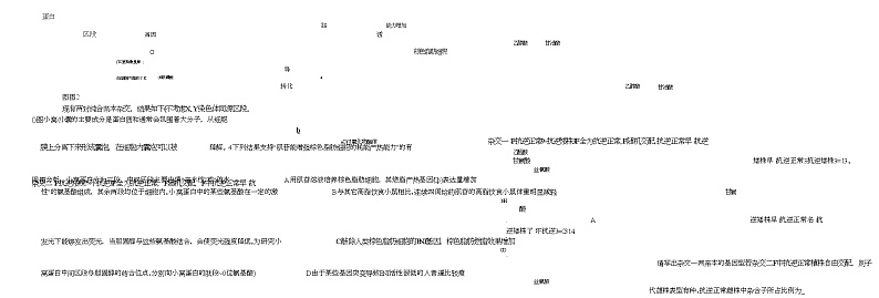 山东省中昇2024-2025学年高三上学期10月联考生物试题第3页