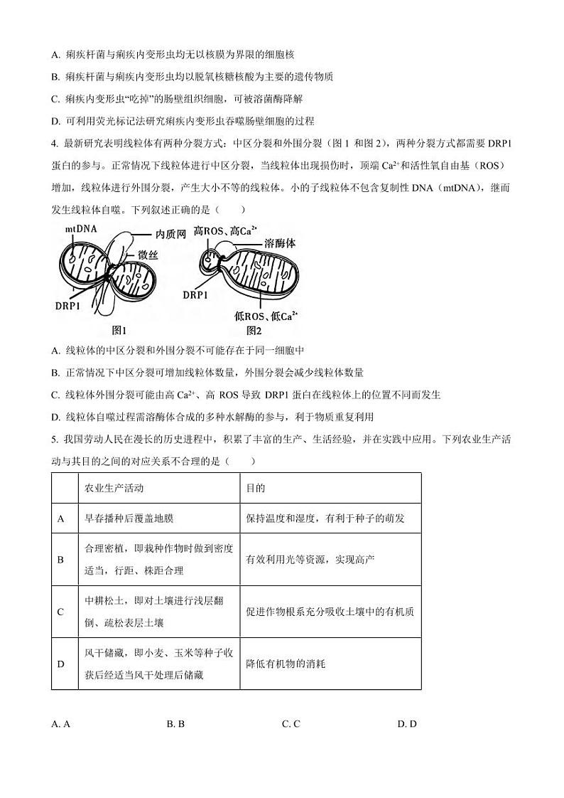生物丨安徽省合肥市一六八中学2025届高三10月月考试题生物试卷及答案第2页