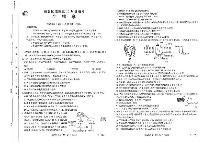 生物丨广东省茂名区域2025届高三10月金太阳联考生物试卷及答案01
