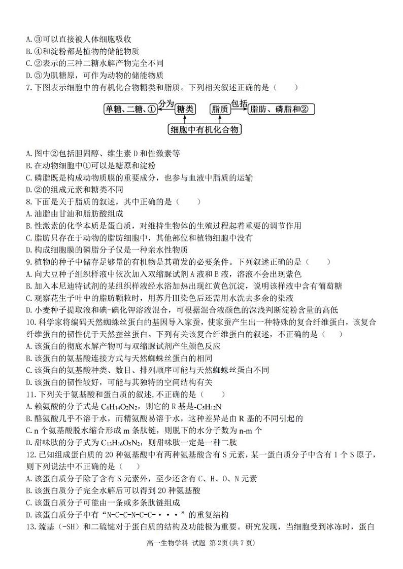 浙江省精诚联盟2024学年高一第一学期10月联考+生物第2页