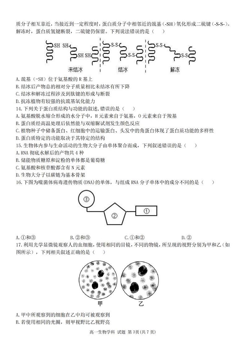 浙江省精诚联盟2024学年高一第一学期10月联考+生物第3页