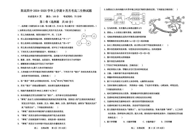 山西省大同市阳高县第四中学2024-2025学年高二上学期9月第一次月考生物试题第1页