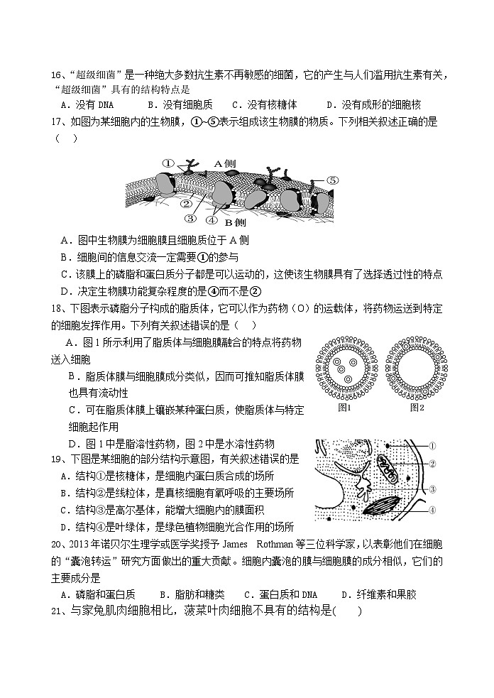 江苏省扬州市扬州大学附属中学东部分校2023-2024学年高一上学期期中考试生物试卷第3页