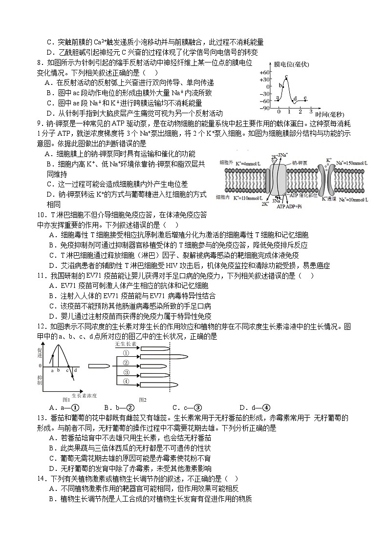 江苏省扬州市扬州大学附属中学东部分校2023-2024学年高二上学期期中考试生物试卷第2页