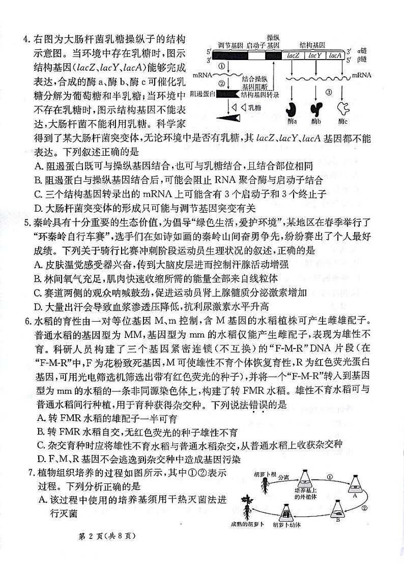 甘肃省白银市靖远县2024-2025学年高三上学期10月联考生物试题第2页