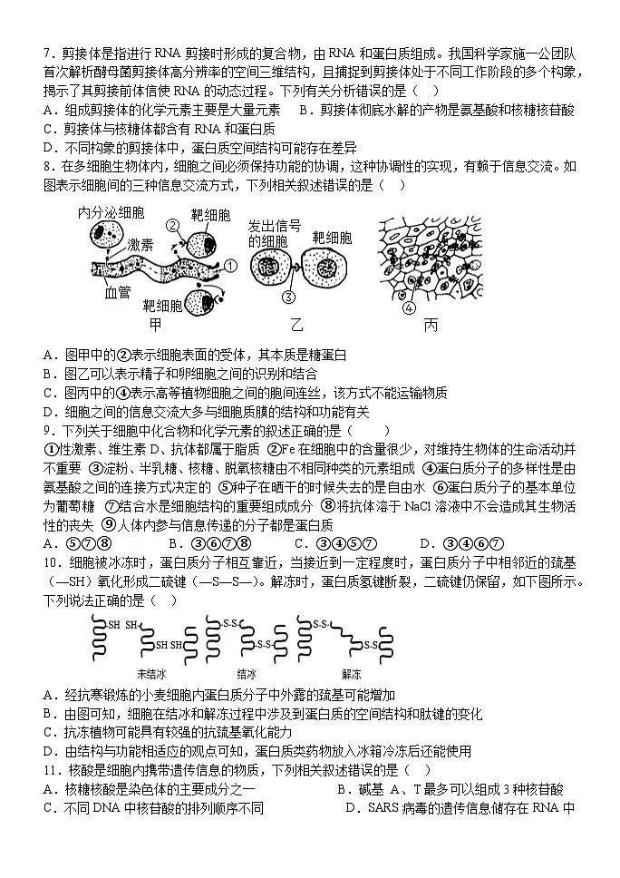 河南省平顶山市叶县高级中学2024-2025学年高一上学期期中生物预考试卷第2页
