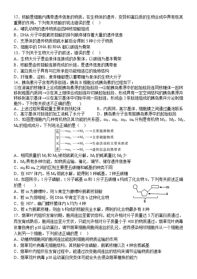 河南省平顶山市叶县高级中学2024-2025学年高一上学期期中生物预考试卷第3页