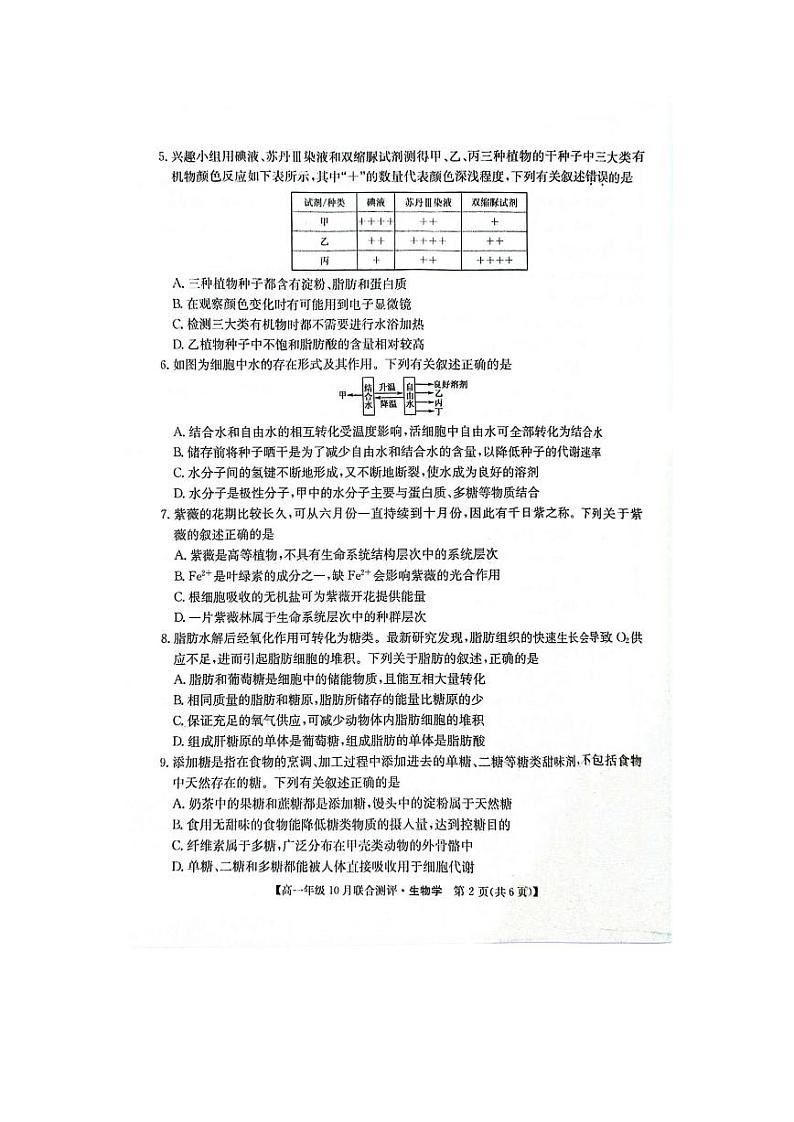 山西省运城市2024-2025学年高一上学期10月联合测评生物试卷（PDF版附答案）02