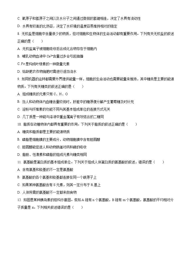 山西省大同市2024-2025学年高一上学期10月联考生物试卷（Word版附答案）第3页