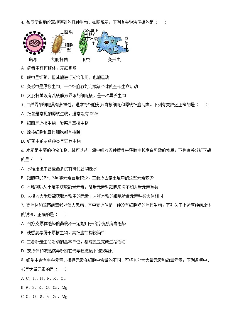 山西省名校2024-2025学年高一上学期10月联考生物试卷（Word版附答案）第2页