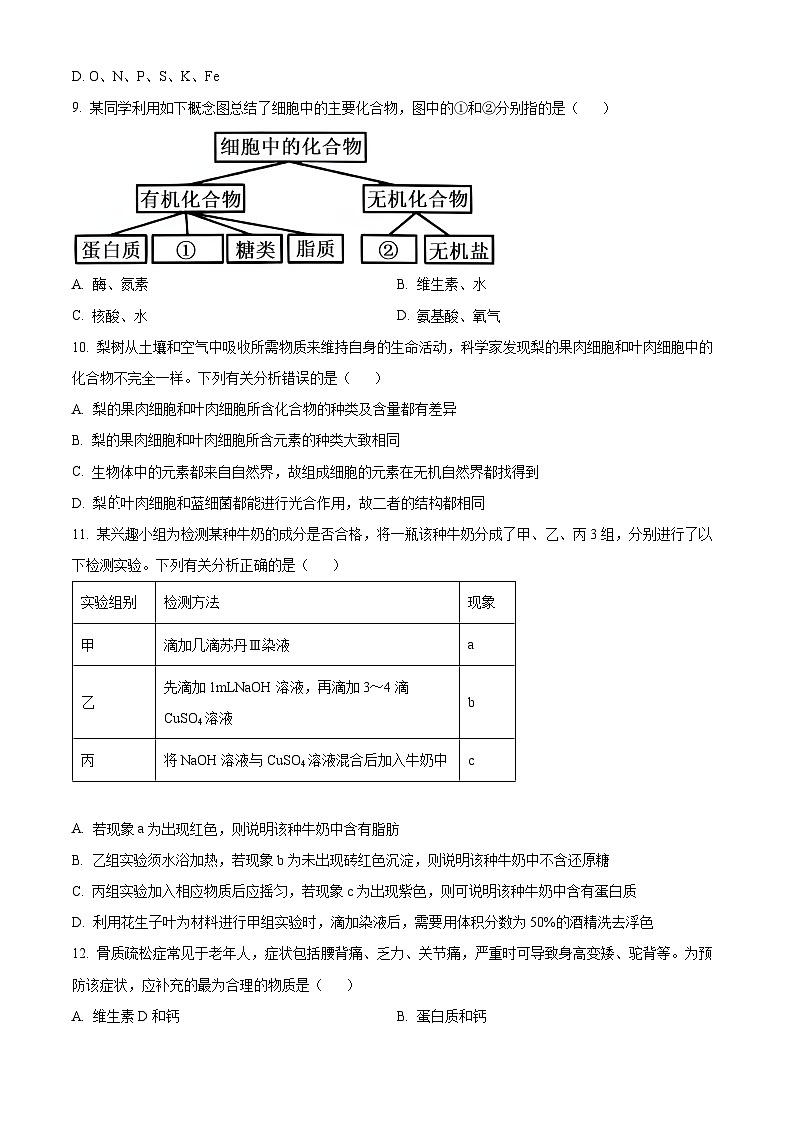 山西省名校2024-2025学年高一上学期10月联考生物试卷（Word版附答案）第3页
