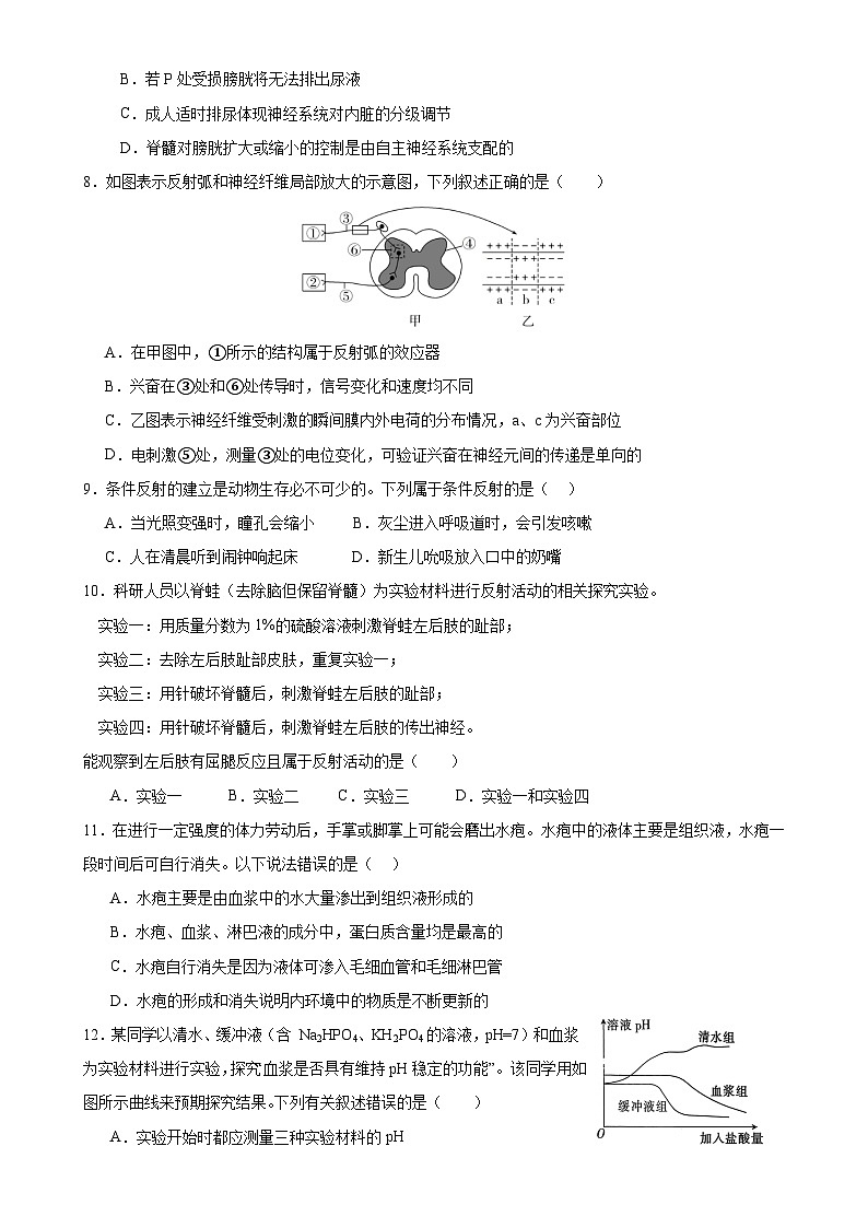 四川省内江市威远中学校2024-2025学年高二上学期期中考试生物试题02