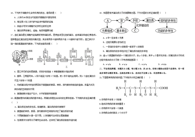 吉林松花江中学2024-2025学年高一上学期月考生物试题第3页