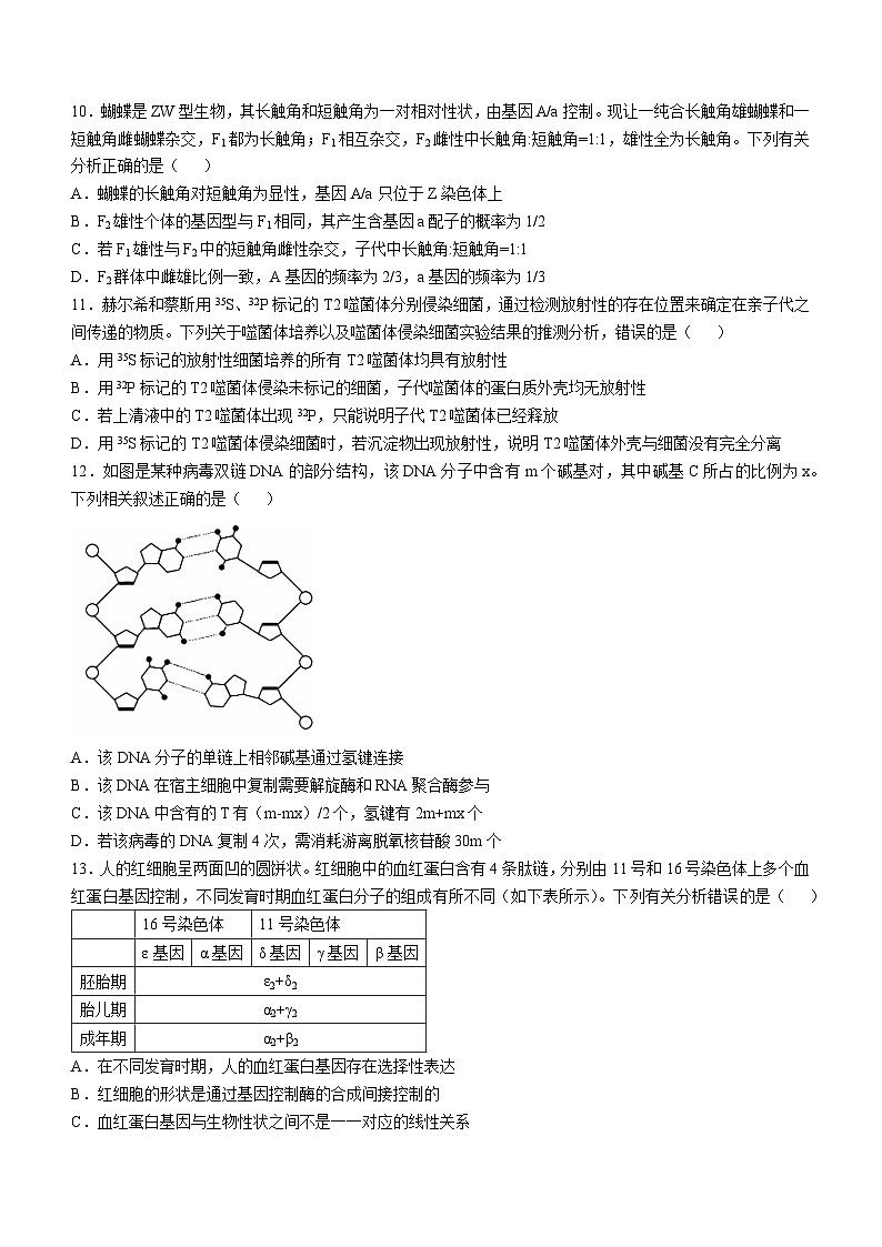 贵州省九师联盟2024-2025学年高三上学期10月联考生物试题第3页
