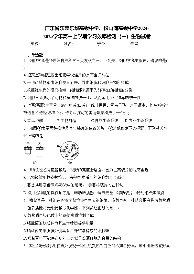 广东省东莞东华高级中学、松山湖高级中学2024-2025学年高一上学期学习效率检测（一）生物试卷(含答案)第1页