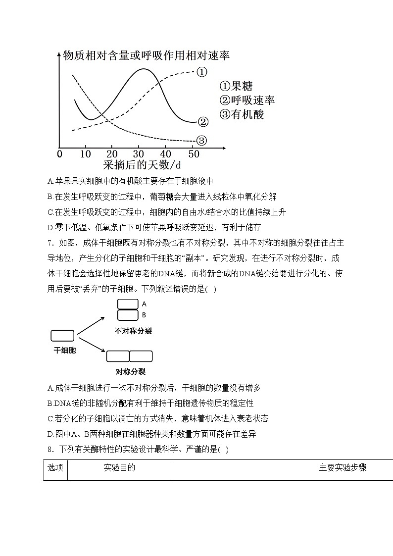 合肥一六八中学2025届高三上学期十月段考生物试卷(含答案)第3页