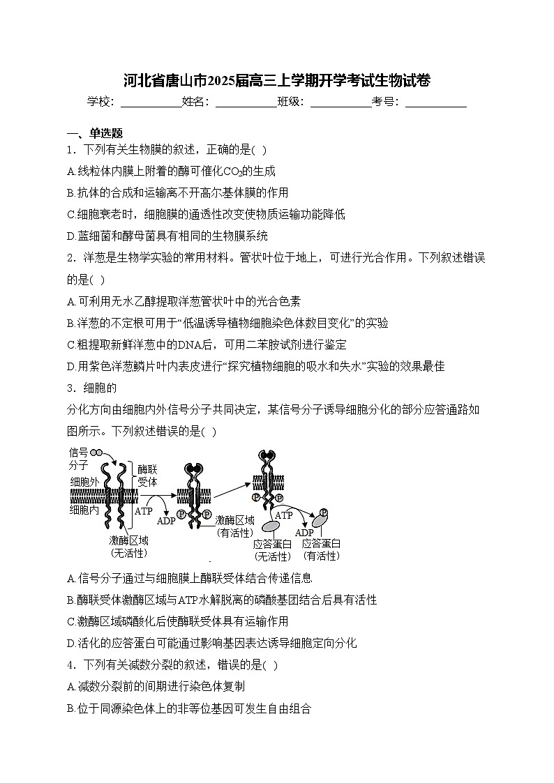 河北省唐山市2025届高三上学期开学考试生物试卷(含答案)第1页