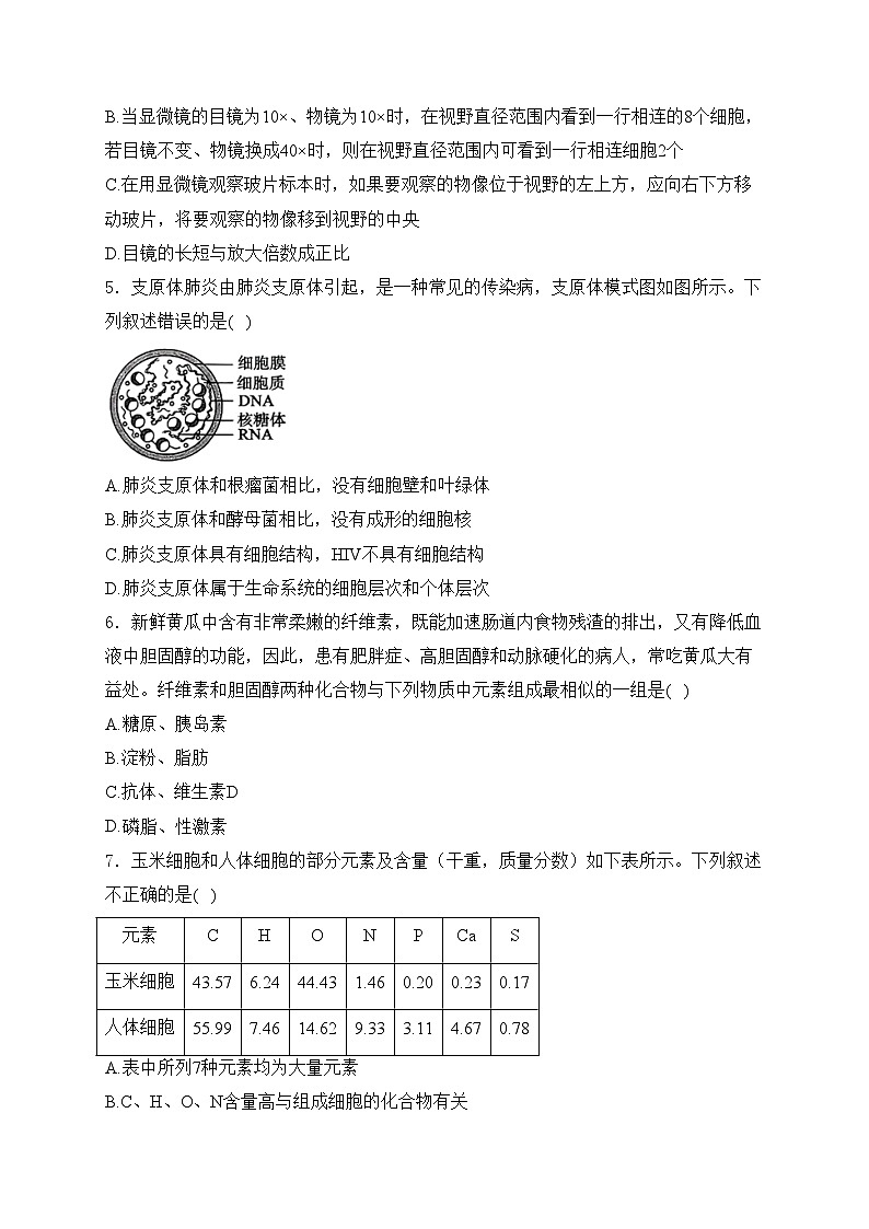 河源市河源中学2024-2025学年高一上学期10月第一次段考生物试卷(含答案)第2页