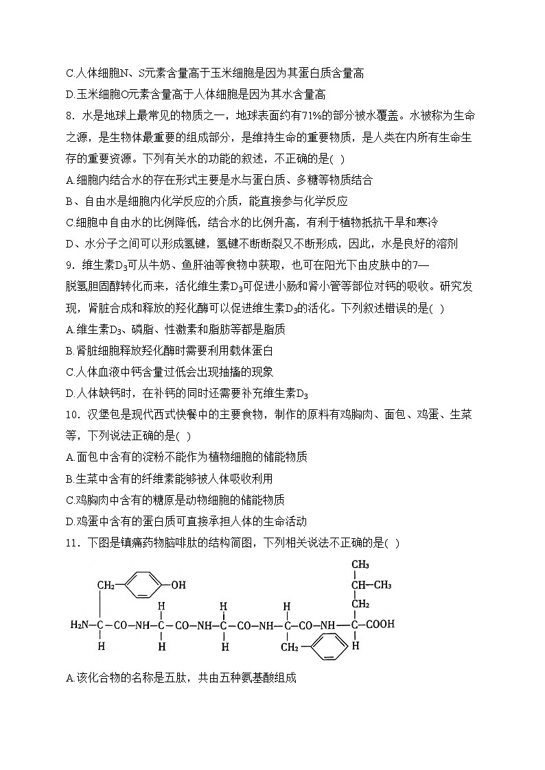 河源市河源中学2024-2025学年高一上学期10月第一次段考生物试卷(含答案)第3页
