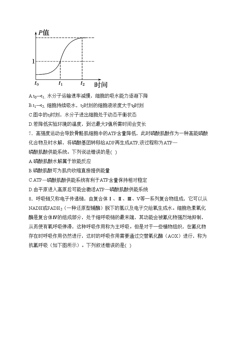 山东省日照市2025届高三上学期开学考试生物试卷(含答案)03