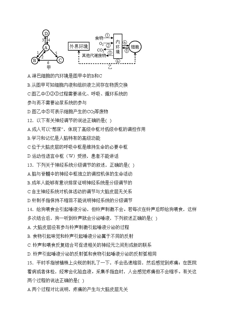 四川省双流棠湖中学2023-2024学年高二上学期期中考试生物试卷(含答案)03