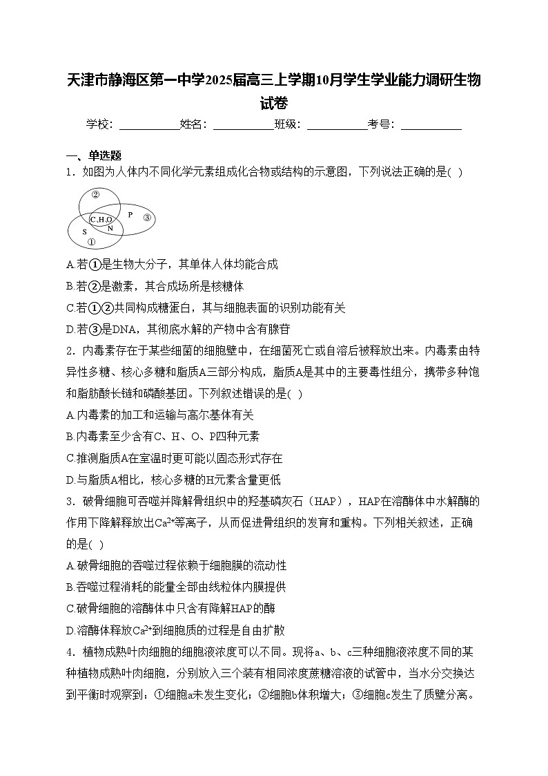 天津市静海区第一中学2025届高三上学期10月学生学业能力调研生物试卷(含答案)01