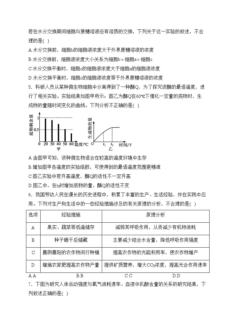 天津市静海区第一中学2025届高三上学期10月学生学业能力调研生物试卷(含答案)02