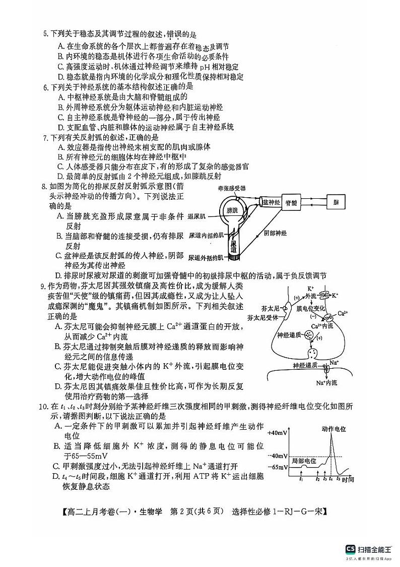 广西壮族自治区百色市名校2024-2025学年高二上学期10月月考生物试题第2页