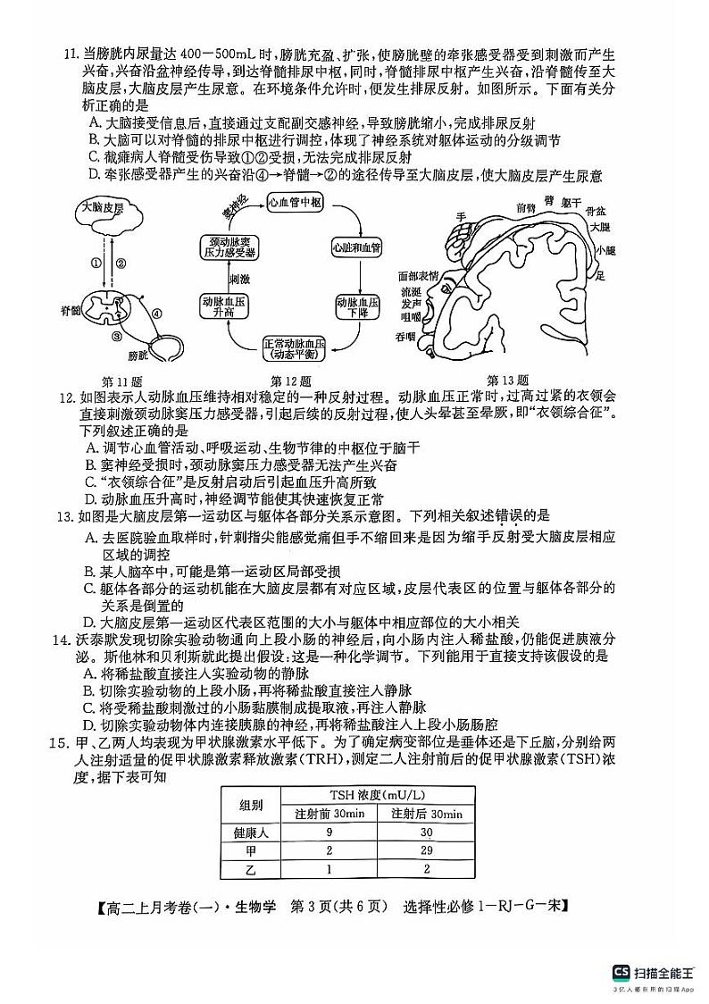 广西壮族自治区百色市名校2024-2025学年高二上学期10月月考生物试题第3页