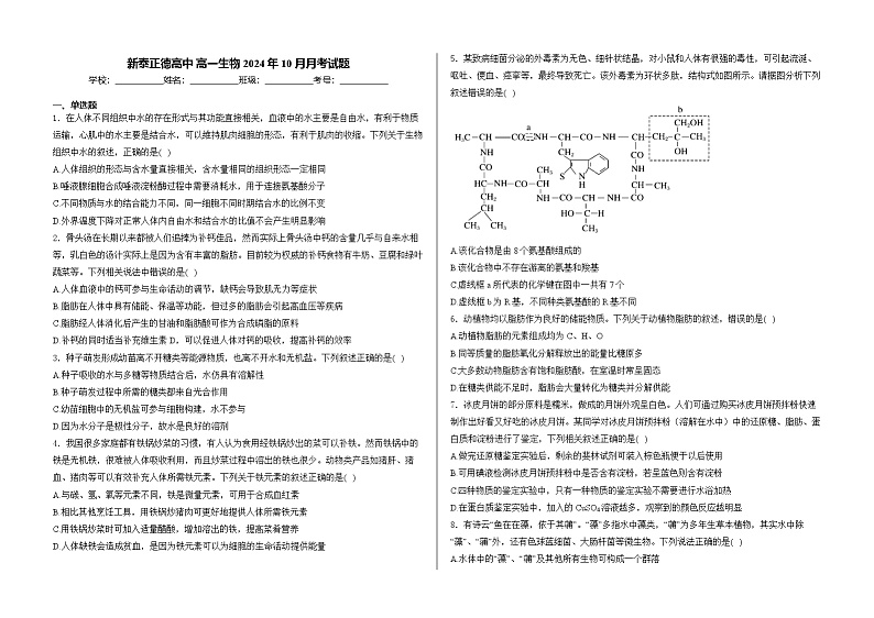 山东省泰安市正德高中2024-2025学年高一上学期10月月考生物试题第1页